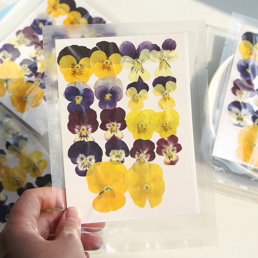 Dried Flower Bookmark - ヴィオラドライプレスフラワークラフトキット、天然本物の花びら装飾、キャンドルレジンブックマークスタイリング用ポータブルDIYアクセサリー
