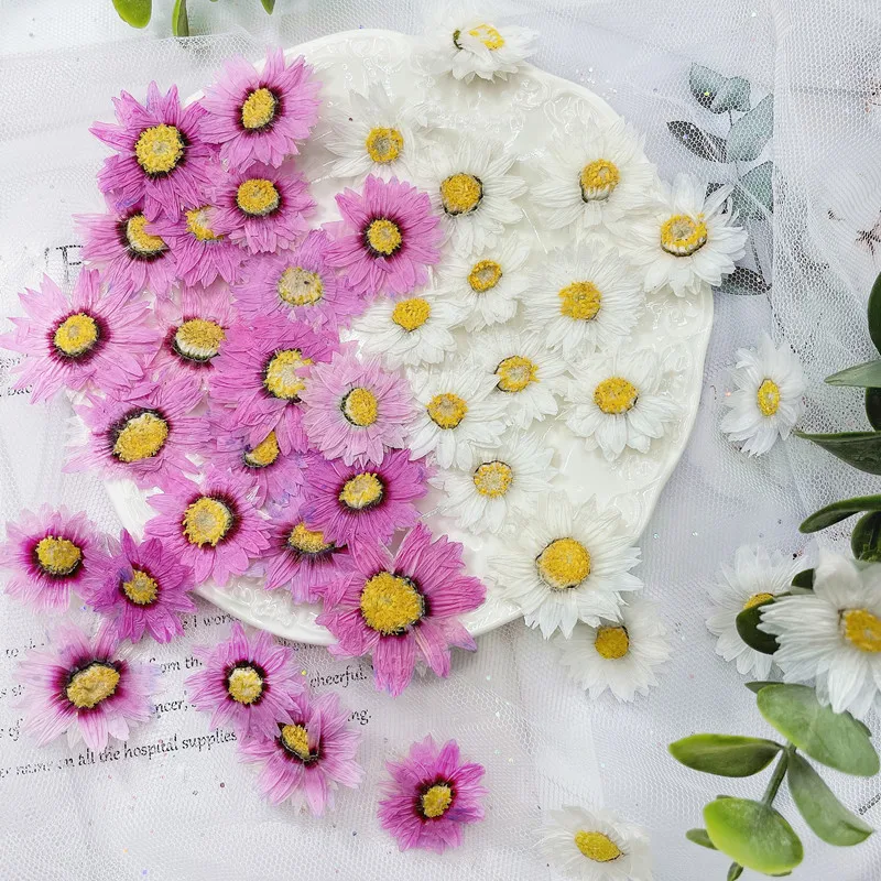 Dried Flower Bookmark - 本物の乾燥したデイジーの花びら,24個/2-4cm,天然の花の花びら,ギフト,ブックマーク,電話ケース,香りのキャンドルの装飾