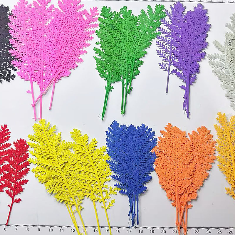 Dried Flower Bookmark - 100個入り天然銀色の羽根葉、色染め、押し花、紙作り用、DIYクラフト材料キット、樹脂製スマホケース、押し花手作りブックマーク、植物標本、ドライフラワーフォトフレームステッカー