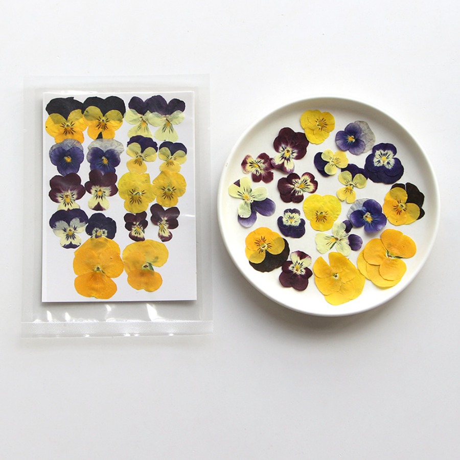 ヴィオラドライプレスフラワークラフトキット、天然本物の花びら - Dried Flower Bookmark のレビューと価格
