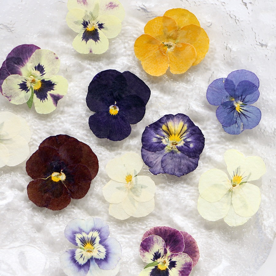 ヴィオラドライプレスフラワークラフトキット、天然本物の花びら - Dried Flower Bookmark のレビューと価格