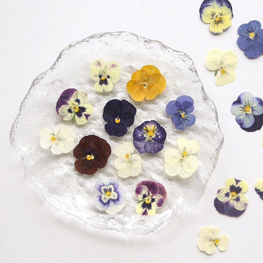 ヴィオラドライプレスフラワークラフトキット、天然本物の花びら - Dried Flower Bookmark のレビューと価格