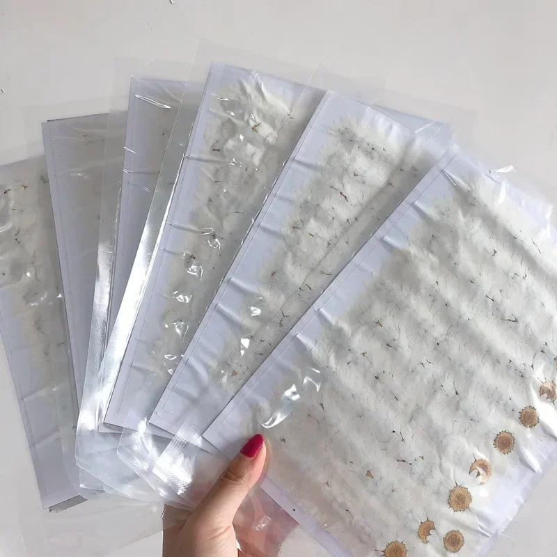 60X プレス乾燥ナチュラルホワイト菊 Paludosum  - Dried Flower Bookmark のレビューと価格