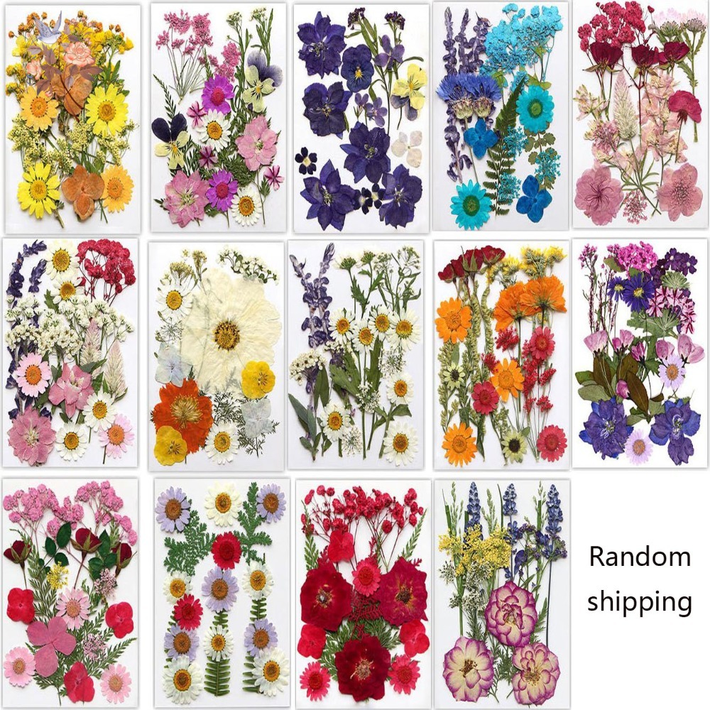 手作り押し花ブックマークDIY素材透明ボトルステッカー自家製 - Dried Flower Bookmark のレビューと価格