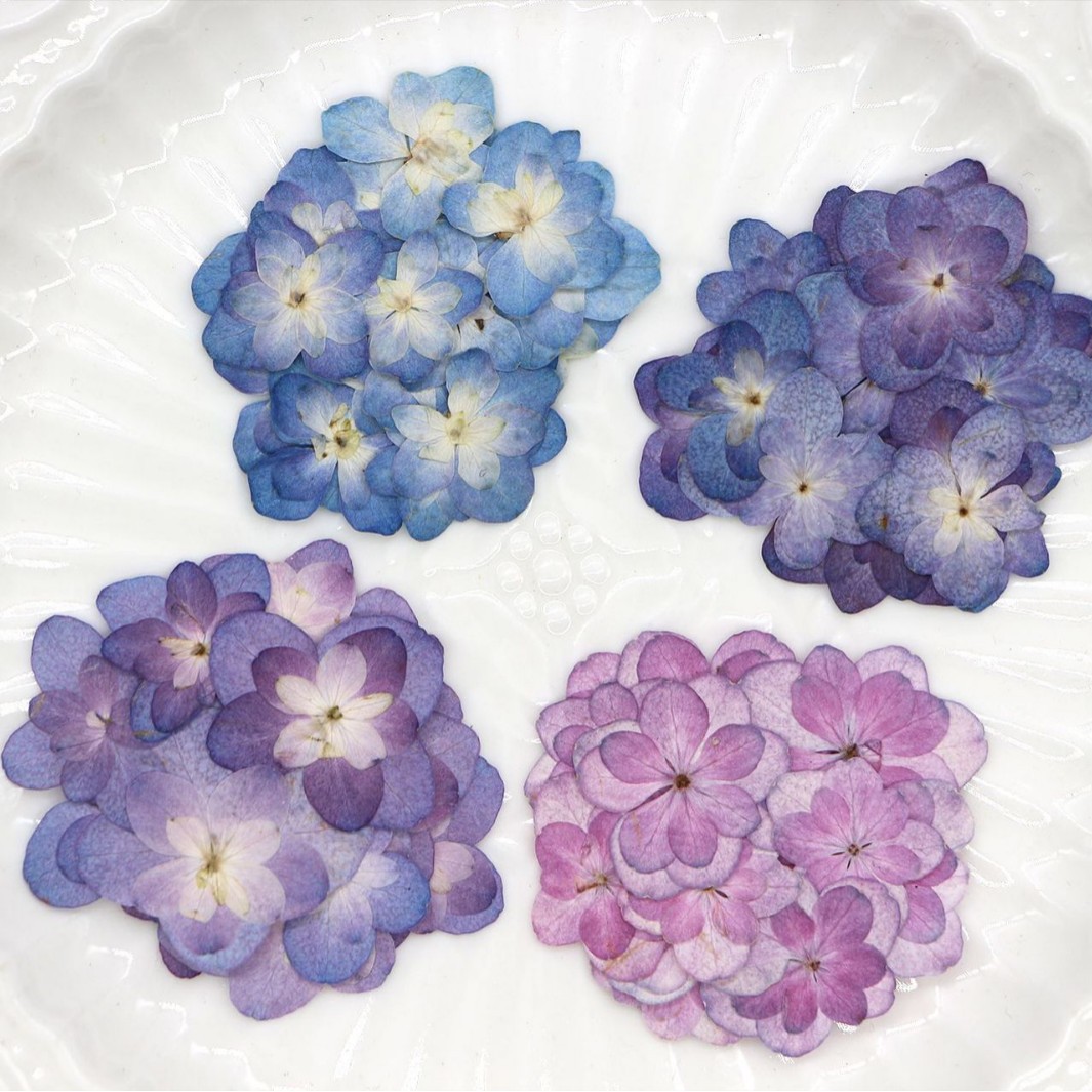 60個入り ミニダブルフラワーハイドランジア ドライフラワー - Dried Flower Bookmark のレビューと価格