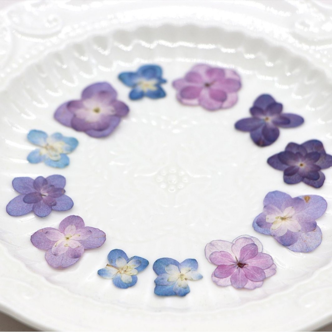 60個入り ミニダブルフラワーハイドランジア ドライフラワー - Dried Flower Bookmark のレビューと価格