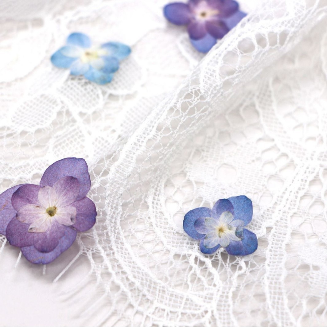 60個入り ミニダブルフラワーハイドランジア ドライフラワー - Dried Flower Bookmark のレビューと価格